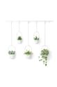 Umbra Σετ γλάστρες τοίχου (5-pack) 1018086.524 λευκό AA00