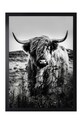 Plakat w ramie czarny AN0004