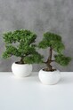 Boltze sztuczne drzewko w doniczce Deciduous Bonsai 1001571.deciduous multicolor AA00