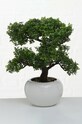 Boltze sztuczne drzewko w doniczce Deciduous Bonsai multicolor 1001571.deciduous
