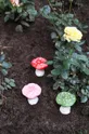 &k amsterdam неароматизированная свеча Mushroom Dots розовый