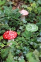 Домашнее SPA &k amsterdam неароматизированная свеча Mushroom Dots 1093.01 розовый