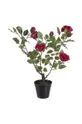červená Bizzotto umelá rastlina v kvetináči Isabel Unisex