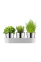 WMF sada květináčů na bylinky s podšálkem Gourmet (3-pack) 641306040 šedá AA00