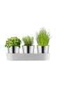 WMF komplet lončkov za zelišča s podstavkom Gourmet (3-pack) 641306040 siva AA00