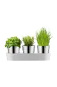 WMF set vasoi per erbe con supporto Gourmet (3-pack) grigio