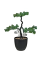 verde finto albero con vasoio Unisex