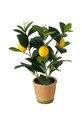 Boltze Τεχνητό δέντρο σε γλάστρα Lemon πράσινο 2017429