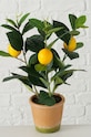 Boltze sztuczne drzewko w doniczce Lemon 2017429 zielony AA00