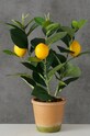 Boltze Τεχνητό δέντρο σε γλάστρα Lemon 2017429 πράσινο
