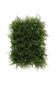 Boltze Штучна рослина Grass зелений 1021715.