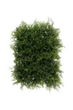πράσινο Boltze τεχνητό φυτό Grass Unisex