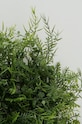 Boltze művirág Grass 1021715. zöld AA00
