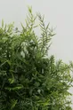 Boltze τεχνητό φυτό Grass πράσινο