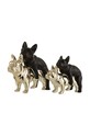 J-Line Decorație 16555 negru AA00
