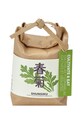 Noted zestaw do uprawy rośliny Cultivate & Eat - Shungiku multicolor GD658JEU.SHUNGIKU