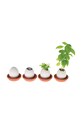 Noted set pentru cultivarea unei plante Eggling Wild Strawberry EG34EU multicolor AA00