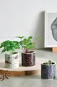Noted набор для выращивания растений Stump Garden, Basil  Керамика