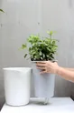 Qualy vaso con sistema di irrigazione Plastica