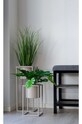 Искусственное растение в горшке House Nordic Poa Grass 9501080 мультиколор AA00