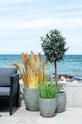 Гостиная и спальня Искусственное растение в горшке House Nordic Poa Grass 9501080 мультиколор