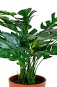 House Nordic plantă artificială în ghiveci Monstera 9501040 multicolor AA00