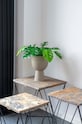 House Nordic plantă artificială în ghiveci Monstera multicolor 9501040