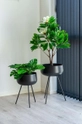 Искусственное растение в горшке House Nordic Monstera Unisex