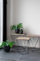 House Nordic plantă artificială în ghiveci Monstera 9501040