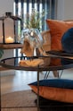 House Nordic wazon San Marino Waterdrop 4501050 multicolor