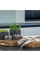 Набір контейнерів для зберігання з кришками House Nordic Jars In Smoked Glas 2-pack 4442050