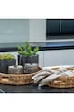 Sada skladovacích nádob s víkem House Nordic Jars In Smoked Glas 2-pack 4442050