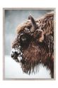 Reproducere pe hârtie înrămată 50x70 cm multicolor 1541201.6069