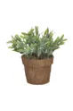 verde finta pianta in vaso Unisex