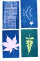Noted kit de creare a fotografiilor Sunography - Color Cards 5-pack multicolor SU02EU