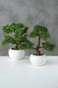 Umelý stromček v kvetináči Boltze Conifer Bonsai  Plast