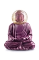 фиолетовой Декорация Donkey The Purple Buddha Unisex