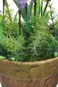 Τεχνητό φυτό σε γλάστρα πολύχρωμο