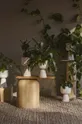 бежевий Підставка для квіткового горщика Iittala Nappula
