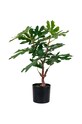 Τεχνητό δέντρο σε γλάστρα House Nordic Fig tree πολύχρωμο 9501110