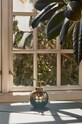 Ποτιστήρι AYTM 508190005013 κίτρινο