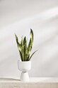 Kvetináč Iittala Nappula IT.1051509 biela AA00