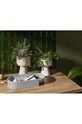 Горшок Iittala Nappula белый IT.1051509
