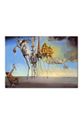 reproducere Salvador Dali, Kuszenie świętego Antoniego 50x70 cm