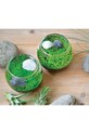 Noted set pentru cultivarea unei plante Water Garden GD892EU multicolor AA00