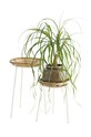Madam Stoltz suport de plante 2-pack 29912.S2 multicolor AA00