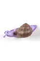Nástenný vešiak Seletti Awake Snail #2 viacfarebná