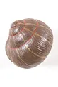 brązowy Seletti wieszak ścienny Sleeping Snail #1 Unisex