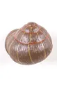 Zidna vješalica Seletti Sleeping Snail #1 smeđa