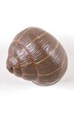 Гостиная и спальня Настенная вешалка Seletti Sleeping Snail #1 14632COL коричневый